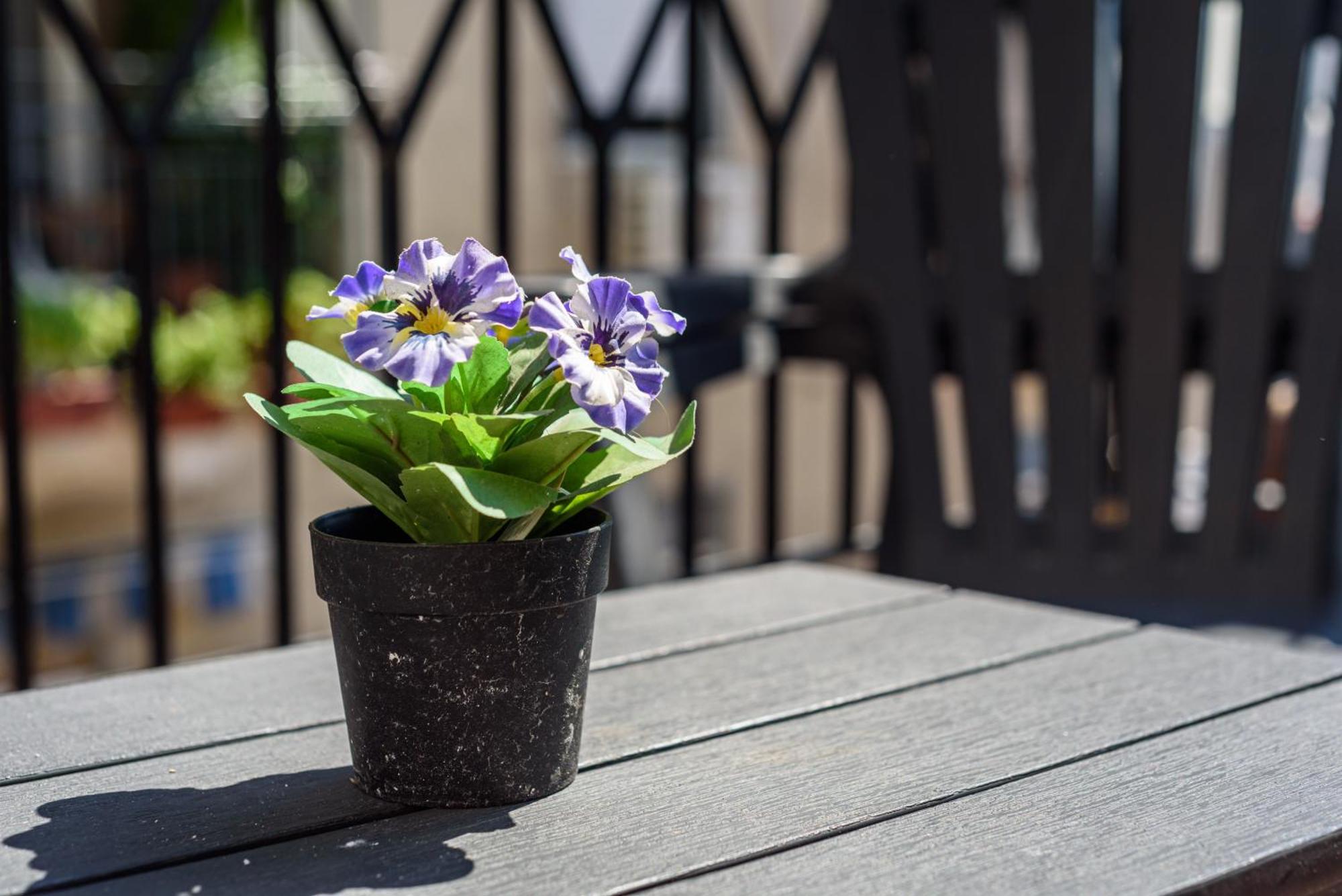 Ferienwohnung La Terrazzina Sul Porto Neapel Exterior foto